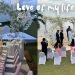 Intimate Wedding Setup by the pool????????‍♀️????‍♂️❤️…Jamaican Event Planner