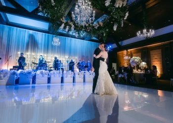 Salamanders Band | Party & Wedding Band