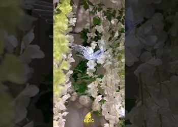 Aysha & Sherif |Design and Decor | epic weddings| #wedding #trendingshorts #event #shorts #stage