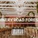 Cape Town Wedding Venue | Winery Road Forest