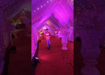 Recent Design Stage || Decoration Ideas || Wedding Stage