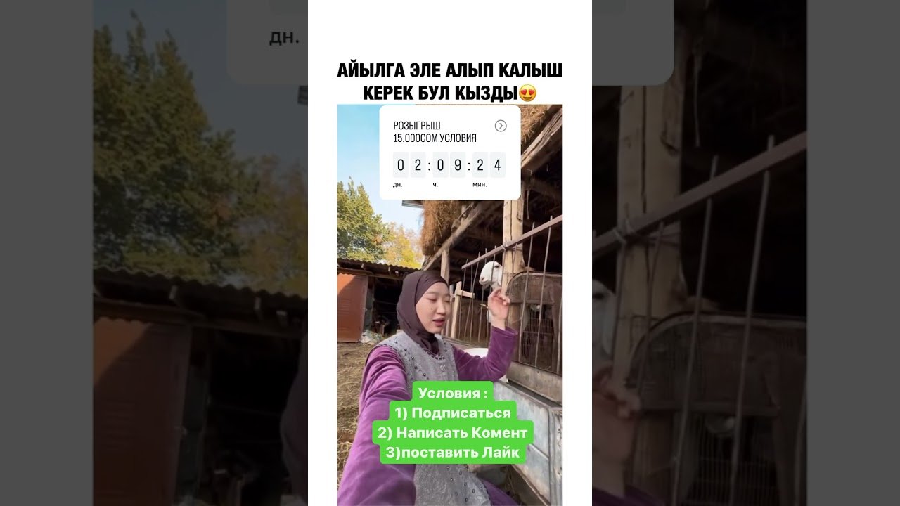 #бишкек #кыргызстан #automobile #rek #wedding #dj #duet #taxi #horse #memes