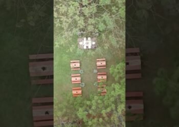 Intimate Wedding Agro I Venue at Puteri Gunung Hotel