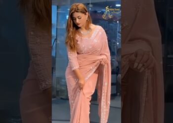 Beautiful Saree party and Wedding Wear #trending #shorts #fashion #bridal #wedding