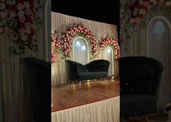 Decoration | Shadow Decoration #shorts #wedding #decoration #design #diljit #diljitdosanjh #stage