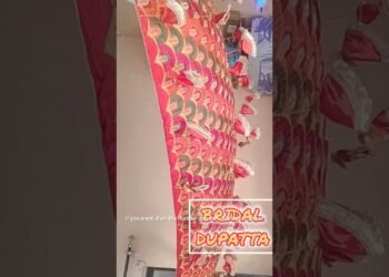 TRENDING DESIGN DULHAN BRIDAL ATTRACTIVE STAGE ENTRY WEDDING DUPATTA FULKARI