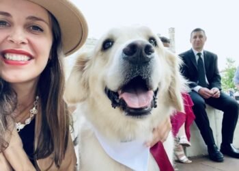 What’s an AMERICAN Wedding Party Like in 2021? Milwaukee, Best Place Pabst