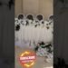 Wedding bride & groom table decorations #diywedding #wedding #backdrop #bride