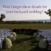 Planning a backyard wedding | Mistakes to avoid | Wedding Planner suggestions
