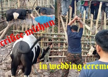 10 Mithun Kata Shadi Party Phe/Sacrifice Mithun In Wedding ceremony Of Tango Village@vrl 18.