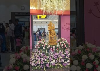The Golden Decorations – Mettupalayam #coimbatore #decoration #decoration #mettupalayam #wedding
