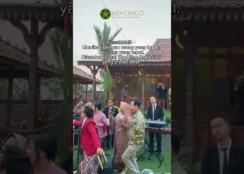 Intimate Wedding konsep Semi Outdoor & Semi jawa 💚💚💚 #weddingconsultant