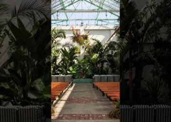 Valentine Wedding Venue in DTLA