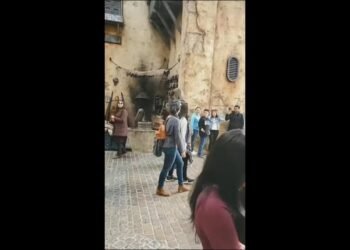 Guy in Chewbacca’s Uniform Shows up During a Wedding Party at Disneyland