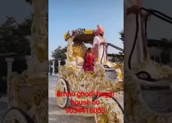 #dance #bhojpuri #wedding #dj #love #sabgeet #choreography #automobile #horse #song ❤️❤️ full suppor