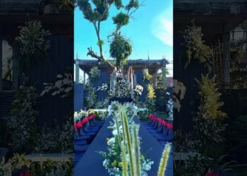 Booking acara Intimate Wedding mendadak hasilnya tak terduga