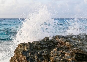 Northern California Wedding Venues: Hidden Gems and Popular Spots