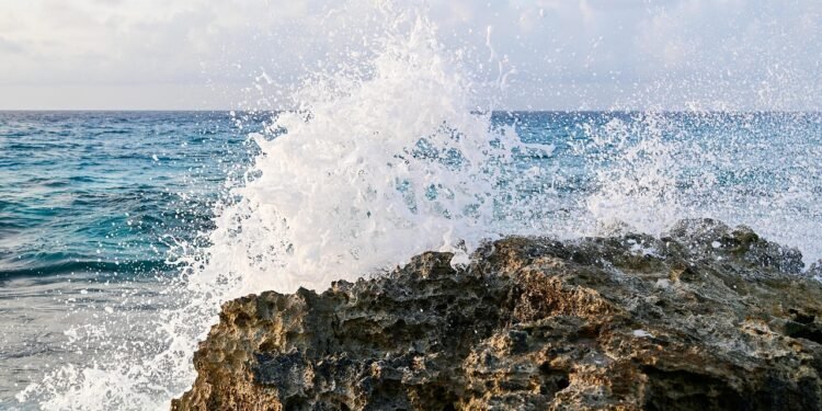 Northern California Wedding Venues: Hidden Gems and Popular Spots