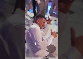 Wedding Party ANIMAL video 🥳 #shorts #wedding #party