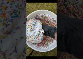 My Sister Wants Me to Give Up My Dream Wedding Venue