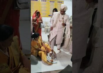 wedding✨#shorts#viral#shortsfeed #trending