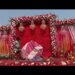 Recent wedding  stage design ll backdrop decoration best wedding stage ll decoration ldeas wedding