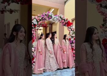 Bride's Sister Dresses For wedding🥰 #bride #sister #dress #wedding #shorts #unfrezzmyaccount