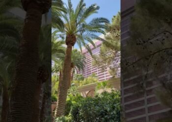 The marriage of my dreams. It was intimate and excellent in every way! #weddingday #lasvegaswedding