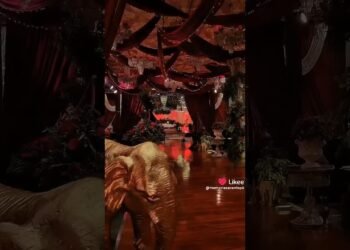 Red rose garden unique wedding venue theme #wedding #weddingdecor #eventplanner #decor #eventos