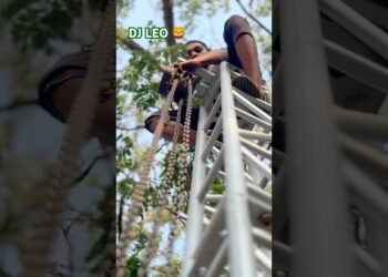 #djleo #explore #hardwork #trendingnow #dj #lighting #party -#wedding #djset #setup #hardworkingteam