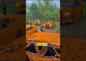 Beautiful Wedding Automotive's Decorations |Wedding Vibes |#youtubeshorts #shorts #trending #viral