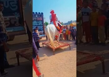 Wedding dj song 😀😂😀 #marwadisong #wedding