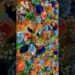 Orange Blue Rose Babysbreath Rolling Up 5D Cloth Curtain Flower Wall #diy #wedding #flower #table