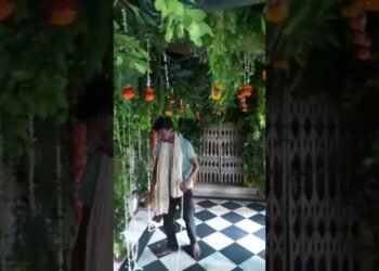 Decoration Wedding stage all above decoration #decoration #love #design #wedding #weedingstage