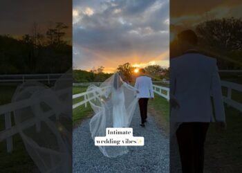 Intimate wedding inspo🫶🏻 #wedding #intimateweddings #smallwedding #weddingdress #2024bride