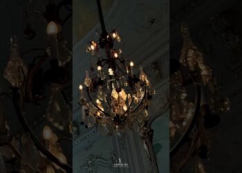 Intimate wedding reception captured by Vows & Lens.  #wedding #weddingcontentcreator #weddingcontent