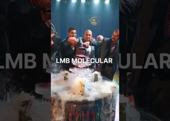 LMB MOLECULAR #cocktailart #molecularmixology #wedding #cocktail #party #event #luxuryineverysip
