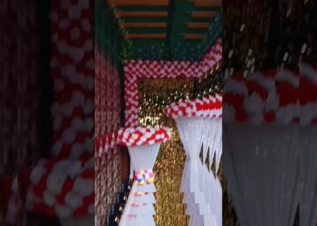 Wedding Stage Background design decoration 😯#short #wedding