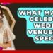 What Makes Celebrity Wedding Venues So Special? – Wedding Trends Now