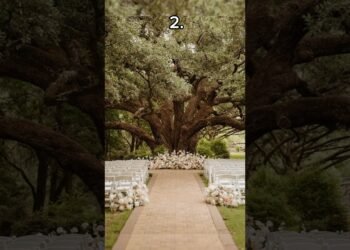 Which wedding venue are you selecting?💍