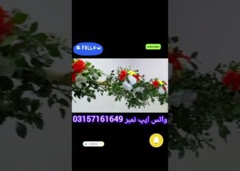 Easy wedding stage decoration ideas|Indian Wedding reception stage design,wedding stag