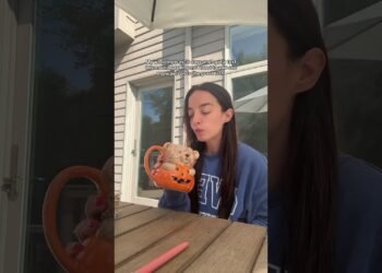 Wedding planning is NOT for the weak 🫠 #weddingplanning #bride #2025bride #2026bride