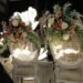 Review Dekorasi Intimate Wedding Outdoor