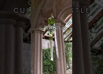 A moment for this intimate wedding venue 🤍 #weddingvenue #castlewedding #intimatewedding #2025bride