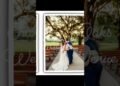 Chandelier Oaks Wedding Venue. Book your 2026-27 weddings booked today! #2026bride #weddingvenue