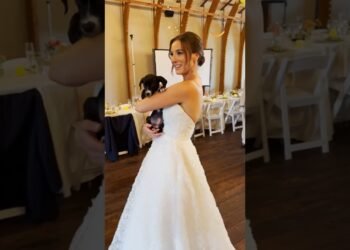 Wedding party carried rescue puppies as a substitute of bouquets 🐶❤️