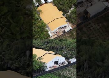 An aerial view of Selena Gomez and Benny Blanco's wedding venue in Santa Monica has been released