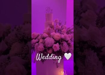 Small Intimate Wedding 🤍 #weddingvideo #wedding #weddingplanner #weddingday #venue #weddingvenue