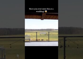 Nominate Us for 2024 Best Wedding Venue! 💍 #beautiful #wedding