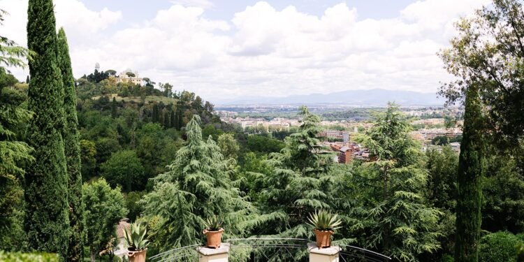 Wedding Web sites and Save The Dates for Destination Weddings